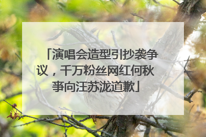 演唱会造型引抄袭争议，千万粉丝网红何秋亊向汪苏泷道歉
